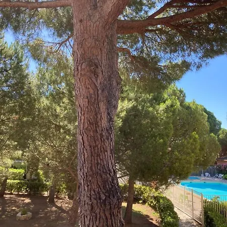 Vue Piscine Sous Les Pins * Agde
